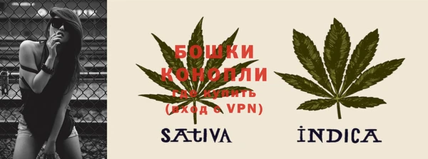 гидра Кинешма