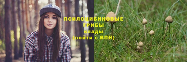 гидра Кинешма